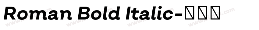 Roman Bold Italic字体转换